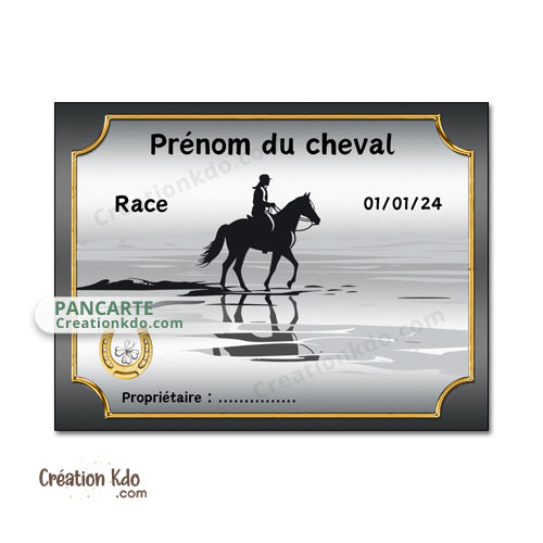 plaque de box cheval personnalisée panneau écurie chevaux race naissance nom pancarte en aluminium