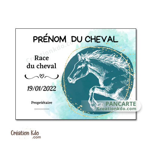 plaque de box cheval personnalisée panneau écurie chevaux race naissance nom
