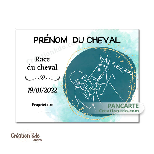 plaque de box cheval personnalisée panneau écurie chevaux race naissance nom