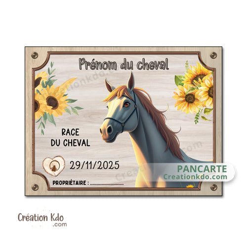 Plaque de box cheval personnalisée disney pixar panneau d'écurie nom, race, année pancarte equestre équitation