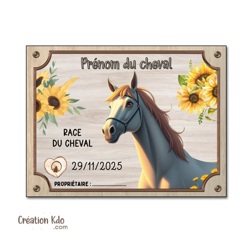 Plaque de box cheval personnalisée disney pixar panneau d'écurie nom, race, année pancarte equestre équitation