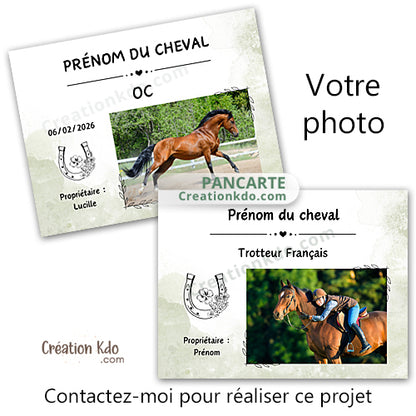 plaque de box photo cheval panneau chevaux écurie personnalisée