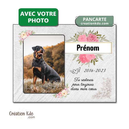 plaque funéraire chien chat animal de compagnie panneau souvenirs animal mémoire commémorative