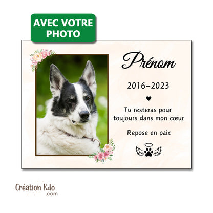 plaque funéraire chien chat commémorative souvenirs hommage panneau pancarte photo