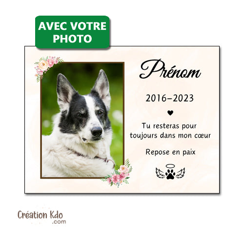plaque funéraire chien chat commémorative souvenirs hommage panneau pancarte photo