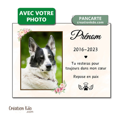 plaque funéraire chien chat commémorative souvenirs hommage panneau pancarte photo