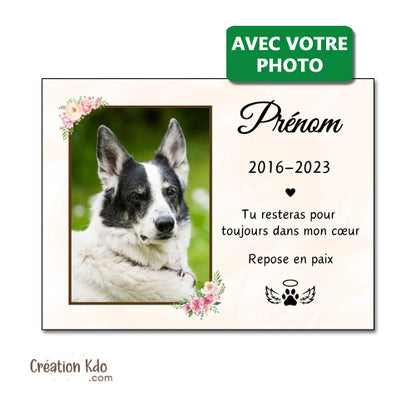plaque funéraire chien chat commémorative souvenirs hommage panneau pancarte photo