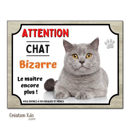 Plaque humour Attention au chat bizarre gris Panneau