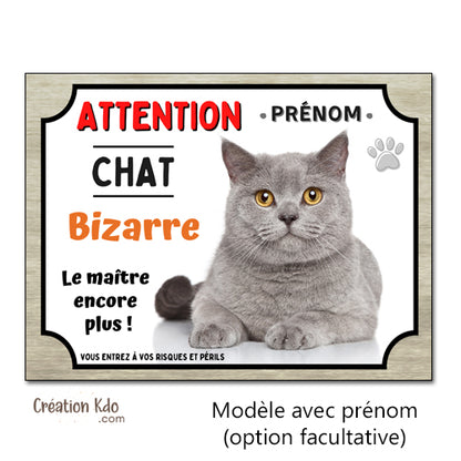 Plaque humour Attention au chat bizarre gris Panneau
