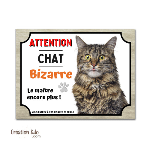plaque attention au chat bizarre maine coon panneau