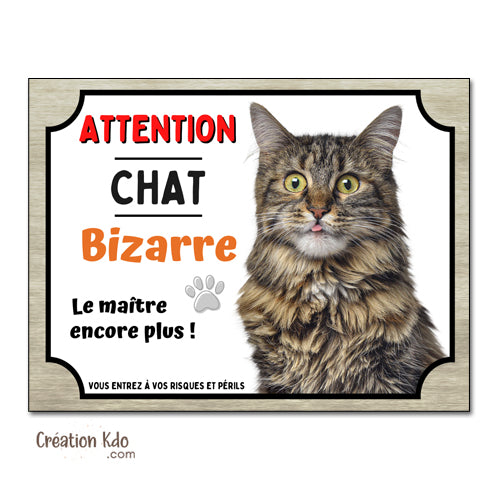 Plaque humour Attention au chat bizarre poil long tigré Panneau