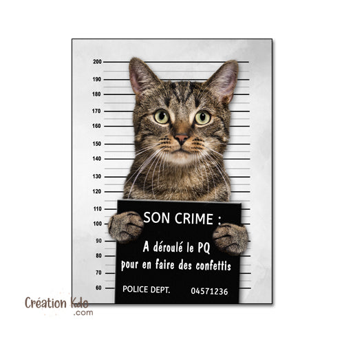 Plaque humour prisonnier chat au poste de police Panneau identité criminelle