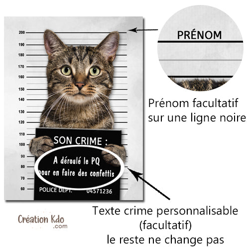 Plaque humour prisonnier chat au poste de police Panneau identité criminelle