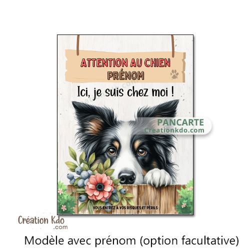 border collie je monte la garde