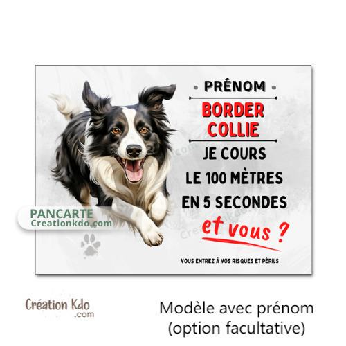 panneau border collie humour je cours le 100 mètres plaque chien