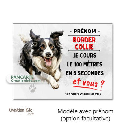 panneau border collie humour je cours le 100 mètres plaque chien