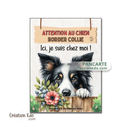 border collie je monte la garde