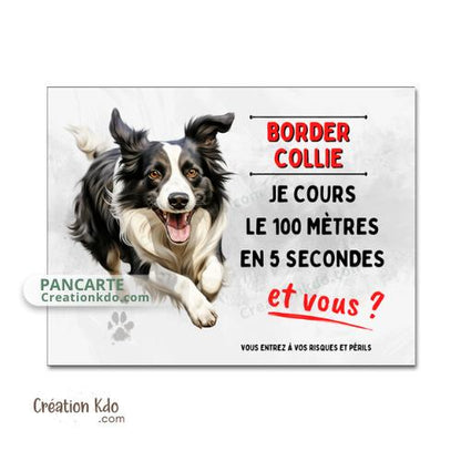panneau border collie humour je cours le 100 mètres plaque chien