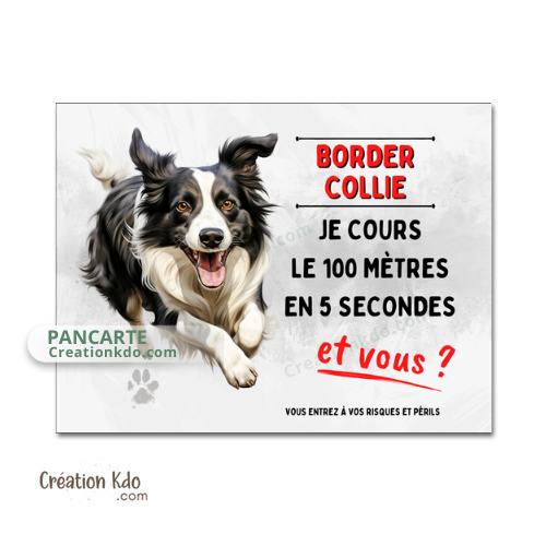 panneau border collie humour je cours le 100 mètres plaque chien