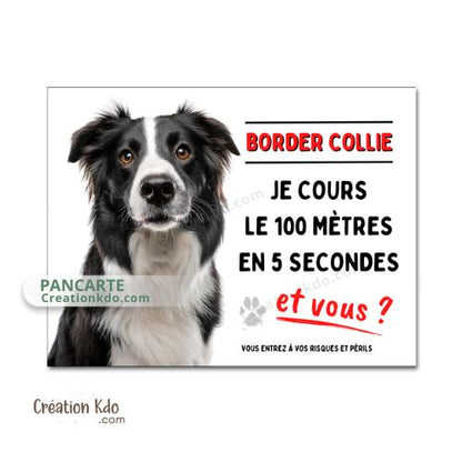 border collie je cours le 100m plaque attention au chien panneau portail je monte la garde