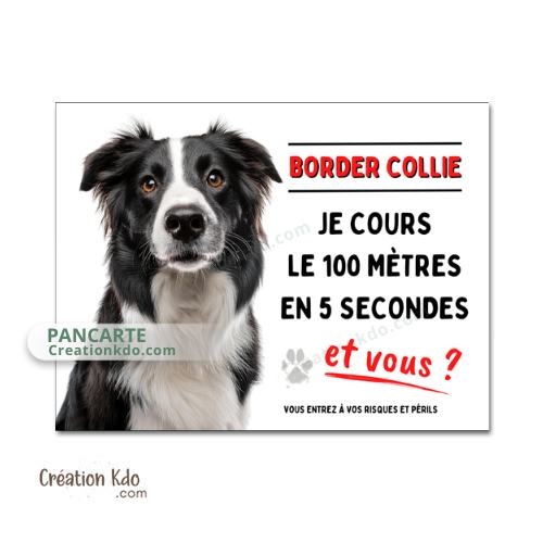 border collie je cours le 100m plaque attention au chien panneau portail je monte la garde