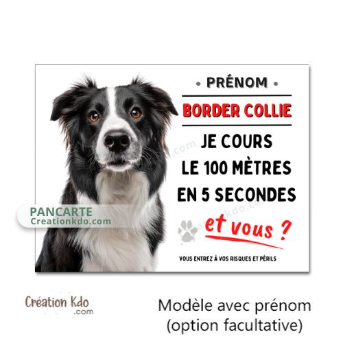 border collie je cours le 100m plaque attention au chien panneau portail je monte la garde