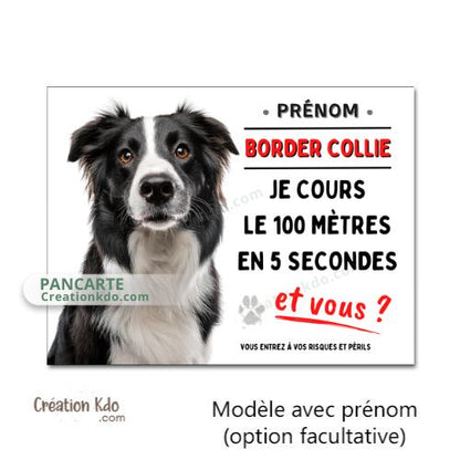 border collie je cours le 100m plaque attention au chien panneau portail je monte la garde