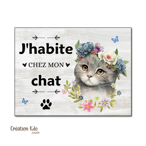 panneau j'habite chez mon chat plaque décorative chaton 