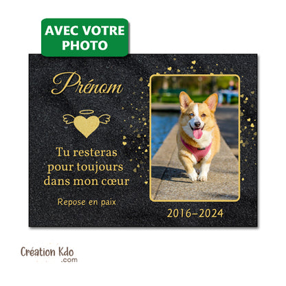 plaque funéraire chien chat animal de compagnie panneau souvenirs animal mémoire commémorative
