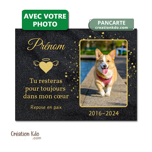 plaque funéraire chien chat animal de compagnie panneau souvenirs animal mémoire commémorative