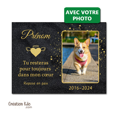 plaque funéraire chien chat animal de compagnie panneau souvenirs animal mémoire commémorative