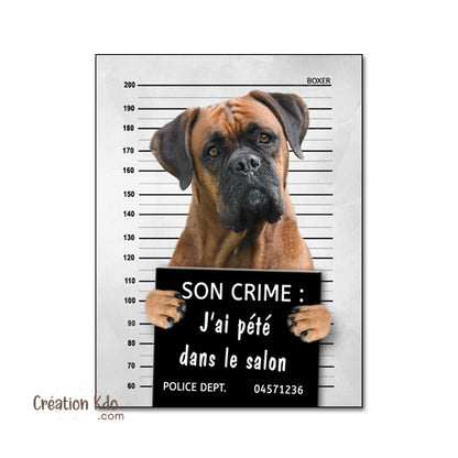 plaque humour chien prisonnier boxer panneau photo