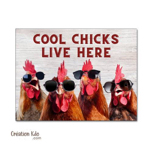 plaque décoration humour poules cool chicks live here nana sympas vivent ici panneau