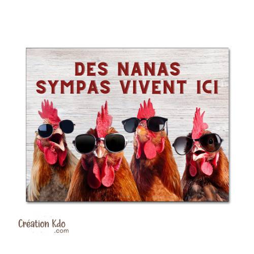 plaque décoration humour poules cool chicks live here nana sympas vivent ici panneau