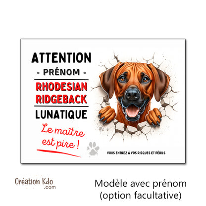 Rhodesian Ridgeback plaque panneau monte la garde chien lunatique humour personnalisé