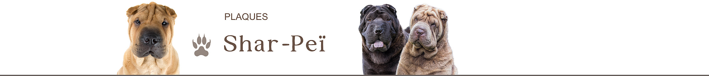 panneaux portail shar-pei attention au chien plaque je monte la garde portail personnalisé