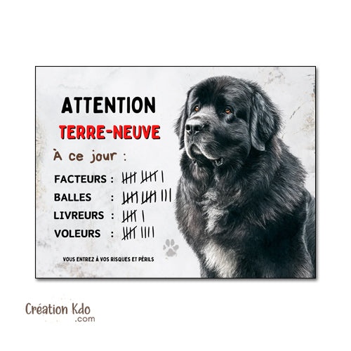 Plaque Terre-Neuve Humour "À ce jour" - Décompte Facteurs & Livreurs - Panneau