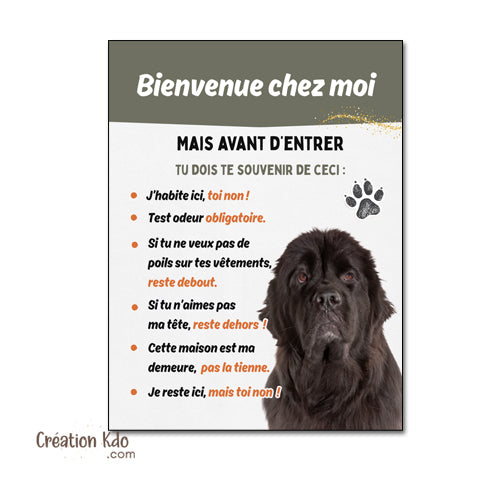 Plaque Terre-Neuve "Bienvenue chez moi" - Les Règles de la Maison - Panneau Alu