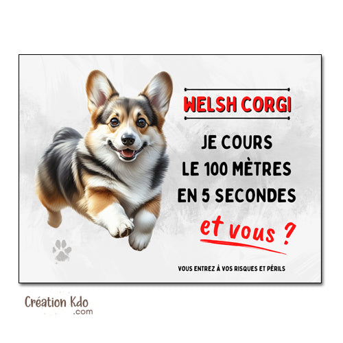 panneau chien corgi monte la garde humour plaque