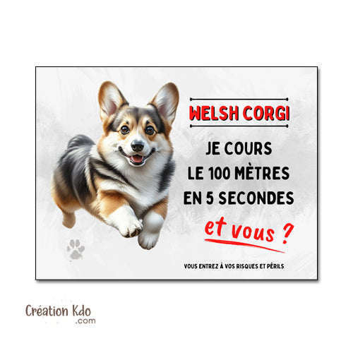 panneau chien corgi monte la garde humour plaque