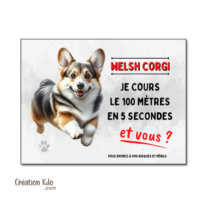 panneau chien corgi monte la garde humour plaque