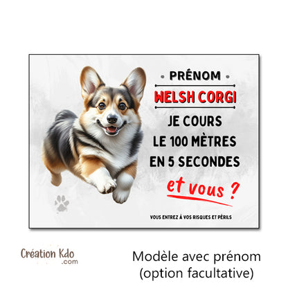 panneau chien corgi monte la garde humour plaque personnalisé