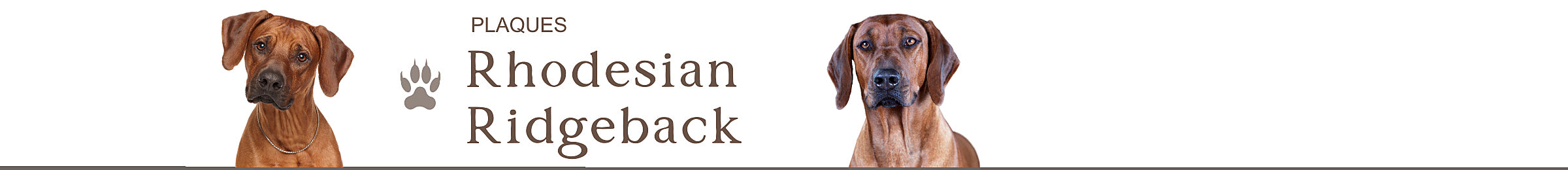 Rhodesian Ridgeback panneaux de portail personnalisés plaque chien je monte la garde