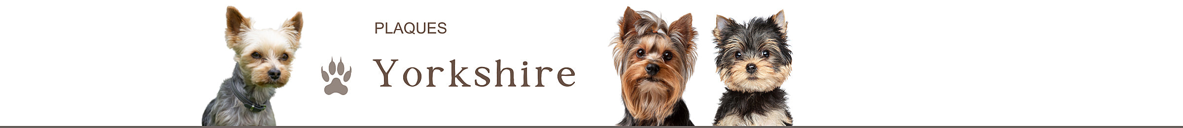 panneaux portail yorkshire terrier je monte la garde