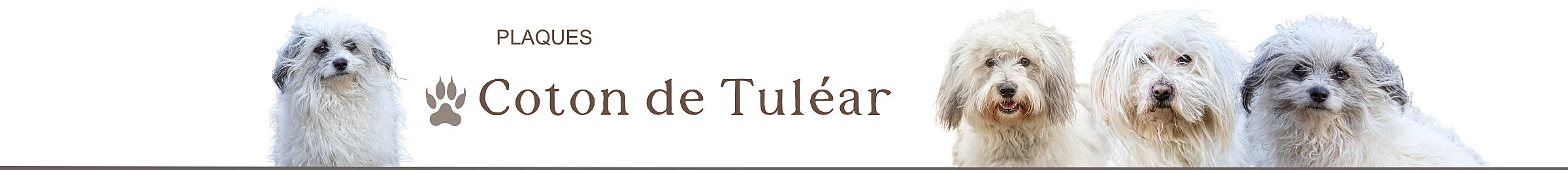 panneaux de portail coton de tuléar
