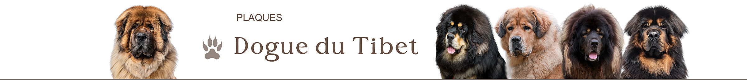 panneaux portail dogue du tibet plaque je monte la garde pancartes attention au chien