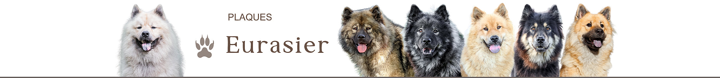 plaques portail eurasier attention au chien panneaux je monte la garde personnalisés pancarte porte jardin