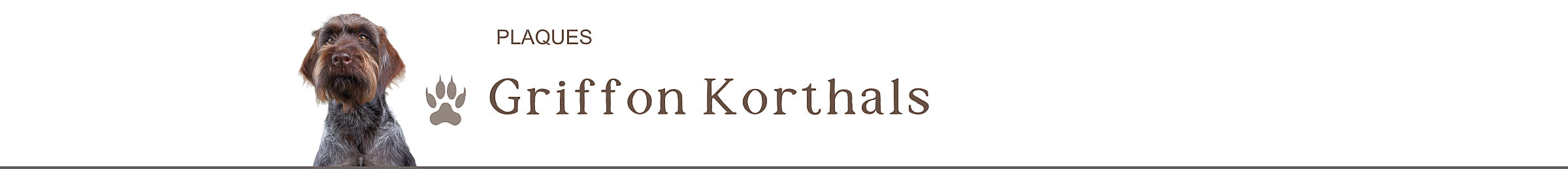 griffon korthals plaque chien portail je monte la garde panneaux