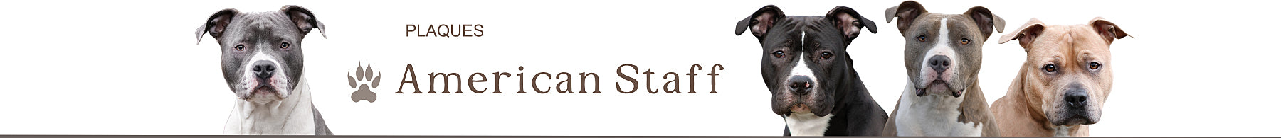 american staff