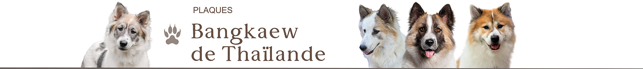bangkaew de thailande 